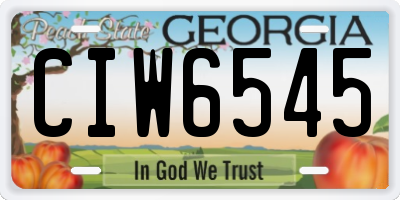 GA license plate CIW6545