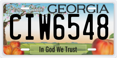 GA license plate CIW6548