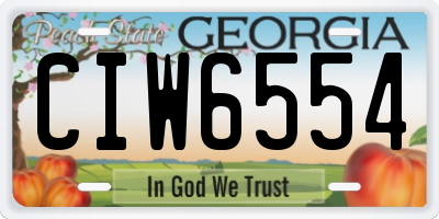 GA license plate CIW6554