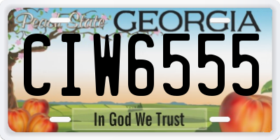 GA license plate CIW6555