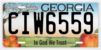GA license plate CIW6559