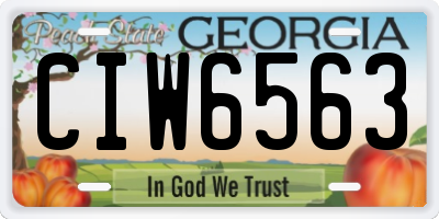 GA license plate CIW6563