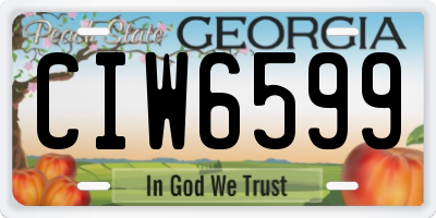 GA license plate CIW6599