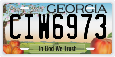 GA license plate CIW6973