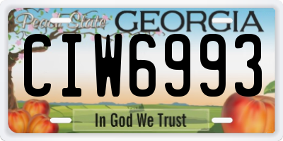 GA license plate CIW6993