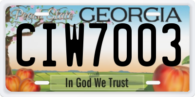 GA license plate CIW7003