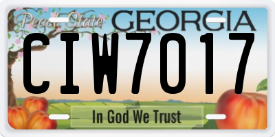 GA license plate CIW7017