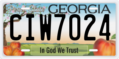 GA license plate CIW7024