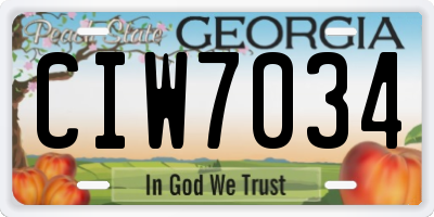 GA license plate CIW7034