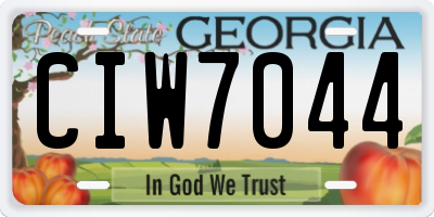 GA license plate CIW7044