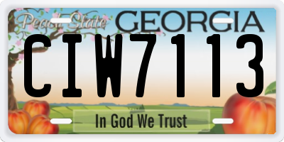 GA license plate CIW7113
