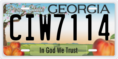 GA license plate CIW7114