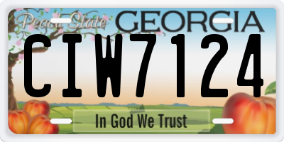 GA license plate CIW7124