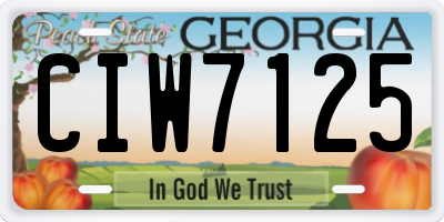 GA license plate CIW7125