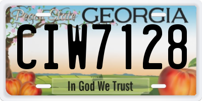 GA license plate CIW7128