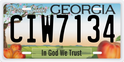 GA license plate CIW7134