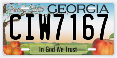 GA license plate CIW7167