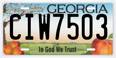 GA license plate CIW7503