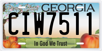 GA license plate CIW7511