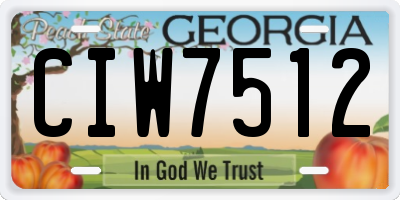 GA license plate CIW7512
