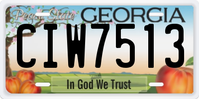GA license plate CIW7513
