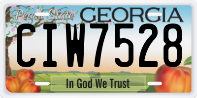 GA license plate CIW7528