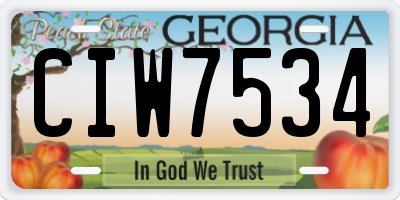 GA license plate CIW7534