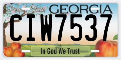 GA license plate CIW7537