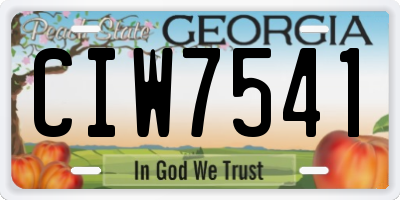 GA license plate CIW7541