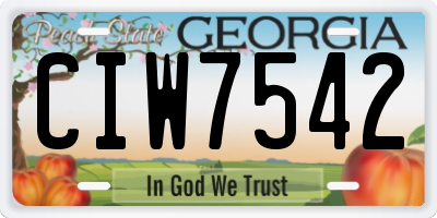 GA license plate CIW7542
