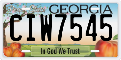 GA license plate CIW7545