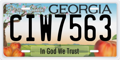 GA license plate CIW7563