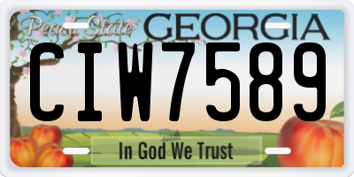 GA license plate CIW7589