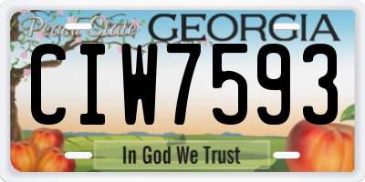 GA license plate CIW7593