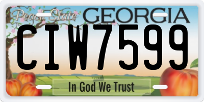 GA license plate CIW7599