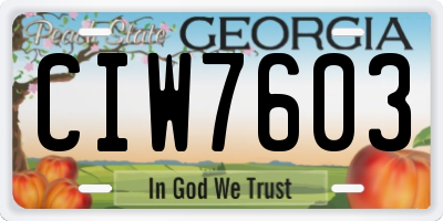 GA license plate CIW7603
