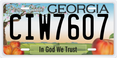 GA license plate CIW7607