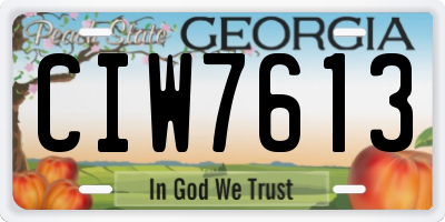 GA license plate CIW7613