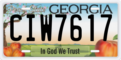 GA license plate CIW7617