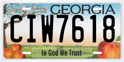 GA license plate CIW7618