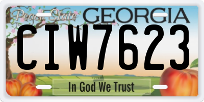 GA license plate CIW7623