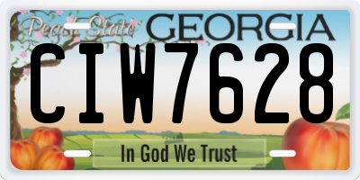 GA license plate CIW7628