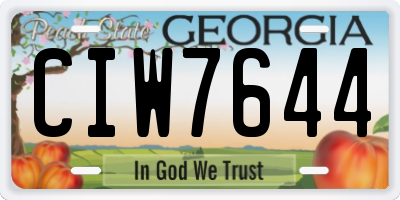 GA license plate CIW7644