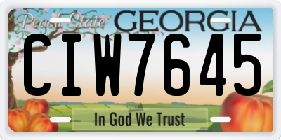 GA license plate CIW7645