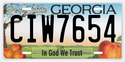 GA license plate CIW7654