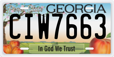 GA license plate CIW7663