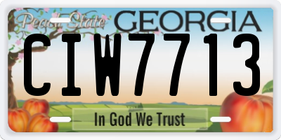 GA license plate CIW7713