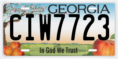 GA license plate CIW7723