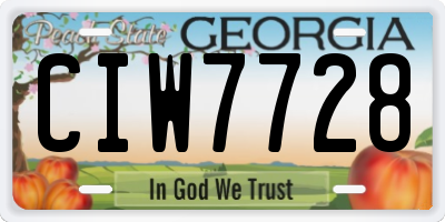 GA license plate CIW7728