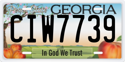 GA license plate CIW7739